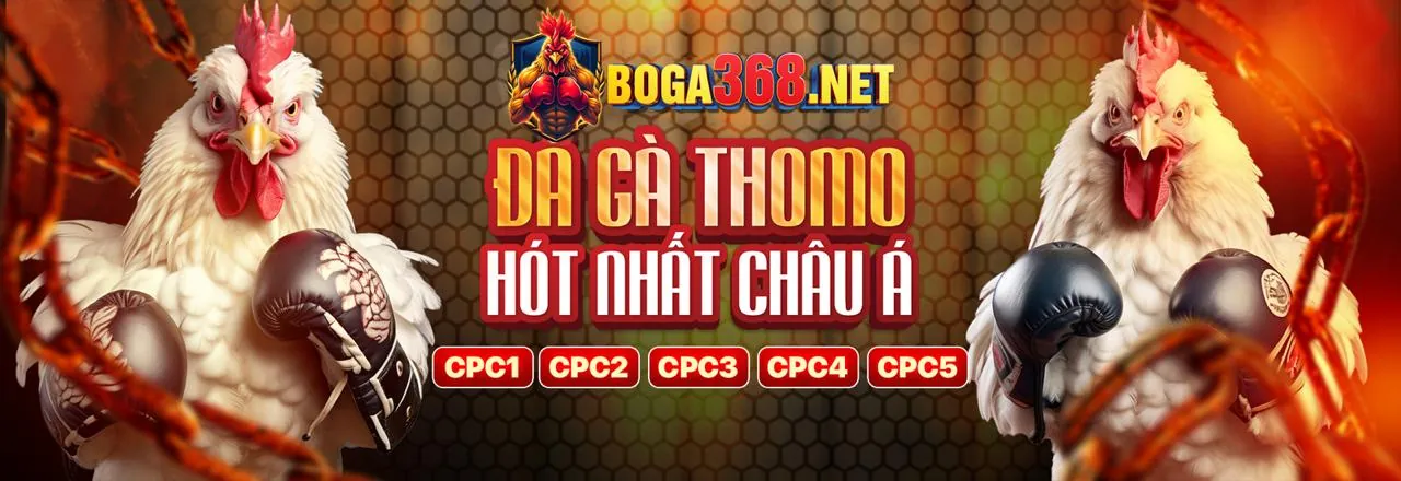 Hình ảnh tổng quan về nền tảng ga139 nhà cái