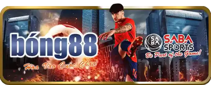 Nền tảng cá cược thể thao đa dạng